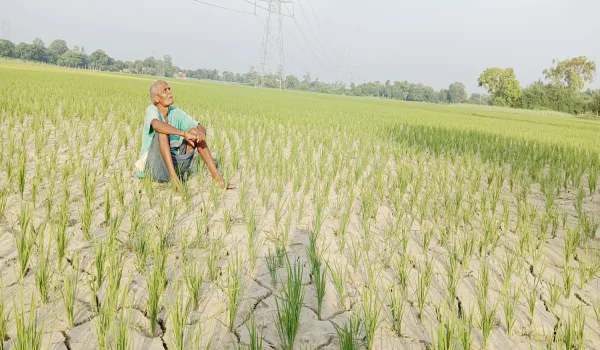 आसमान की ओर टकटकी लगाए किसान, जुलाई बीतने को लेकिन बारिश का नहीं मिला साथ