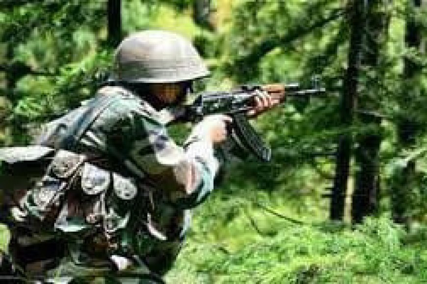 सीमा पर सतर्क प्रहरी: बीएसएफ ने 13 बांग्लादेशियों की घुसपैठ की कोशिश की नाकाम